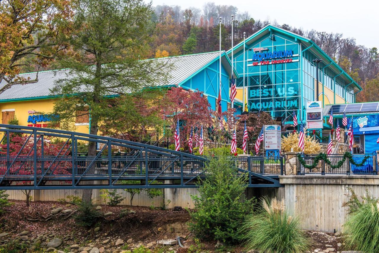 Bear Cub Retreat Apartman Gatlinburg Kültér fotó
